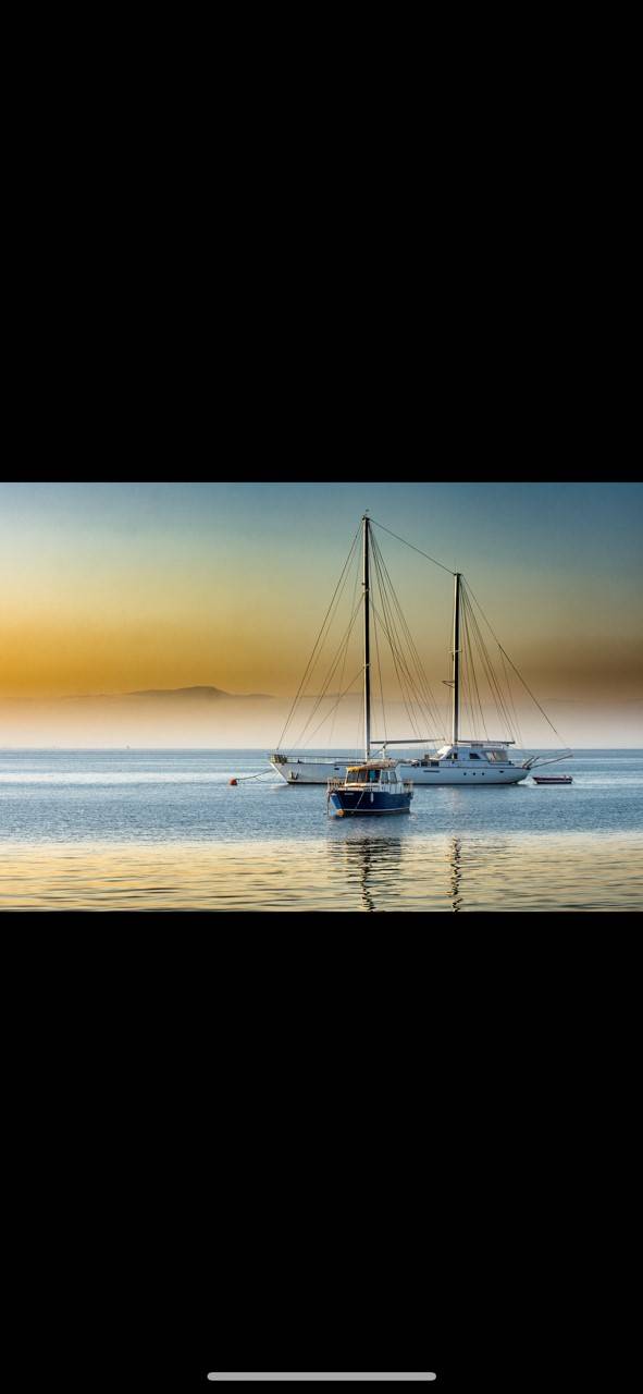 La Garantie des vices cachés  Navire